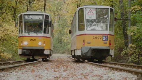 Bulgaria, Sofia - October 2020: Two retro yellow trams passing in autumn woods 스톡 동영상 142897895