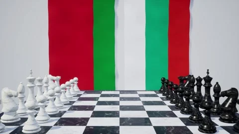 Bulgaria vs Belarus  at the chessboard. Video stock 257965355