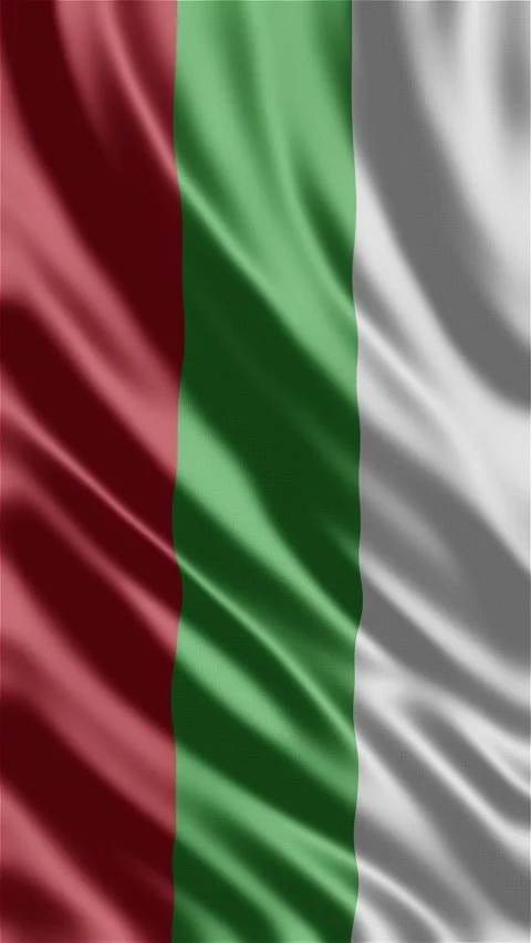Bulgaria waving flag Stock Footage 288004100