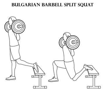 Bulgarian barbell split squat exercise strength workout vector illustration o Stockillustratie