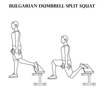 Bulgarian dumbbell split squat exercise strength workout vector illustration  Stockillustratie