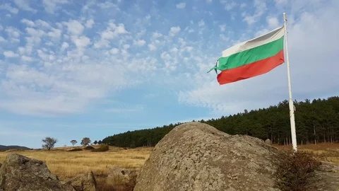 Bulgarian flag in typical landscape Vídeos de archivo 97206632
