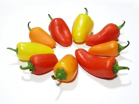 Bulgarian. Stock Photos
