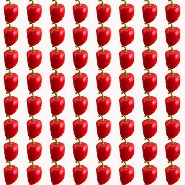 Bulgarian red pepper on white background, seamless pattern, wallpaper, top vi Stock Illustration