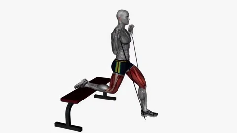 Bulgarian split squat cable resistance band   fitness exercise workout animation 動画素材 243989241