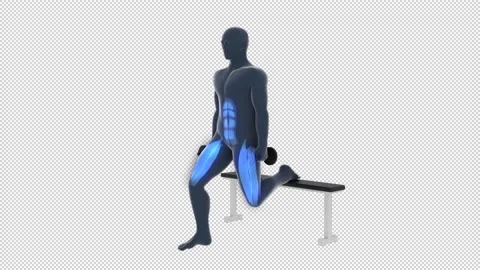 Bulgarian Split Squat Dumbbell Workout Stock Footage 165386128