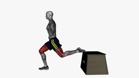 Bulgarian split squat left bodyweight side view fitness exercise workout anima   Видео 243989214
