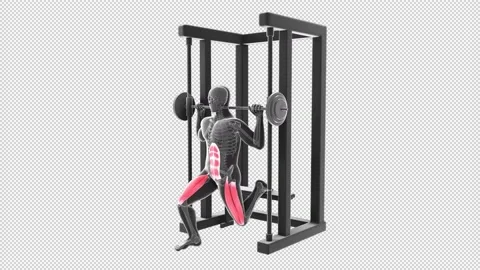 Bulgarian Split Squat at the Multipower 스톡 동영상 155482971