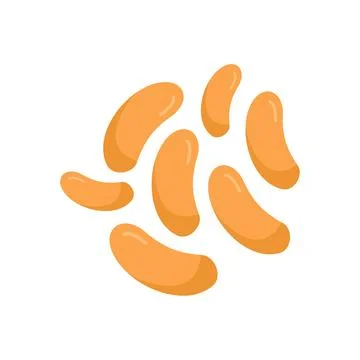 Bulgaricus probiotic icon flat vector. Good bifidobacterium イラスト素材