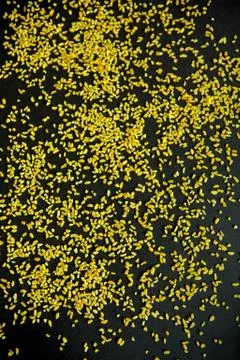 Bulgur, cereals pattern on a black background Stock Photos