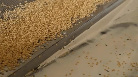 Bulgur is separated according to it's size by machine (slow motion) 2 Video stock 294036127