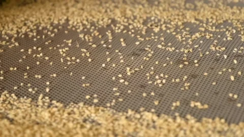 Bulgur is separated according to it's size by machine 2 Stock Footage 294036274