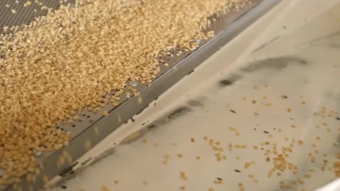 Bulgur is separated according to it's size by machine 3 Stock Footage 294036356