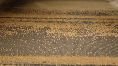 Bulgur is separated according to it's size by machine Stock Footage 294036789
