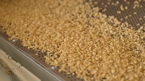 Bulgur is separated according to it's size by machine (slow motion) Stock Footage 294040702
