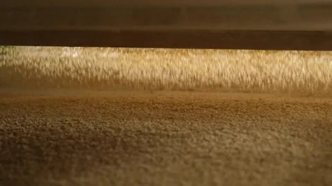 Bulgur is sifted by machine according to it's size (slow motion) Stock Footage 294036711