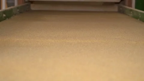 Bulgur is sifted by machine according to it's size Stock Footage 294037260