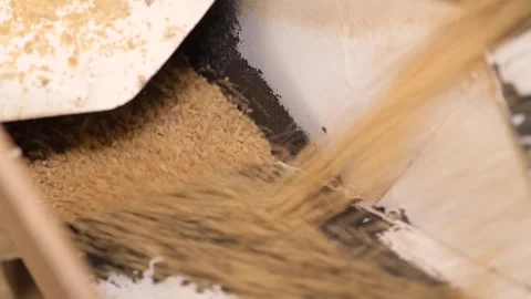 Bulgur sorting machine is working 2 Stock Footage 294043794