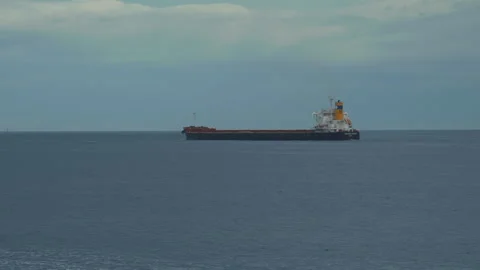Bulk Cargo Carrier Stock Footage 319410028