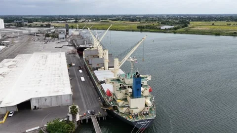 Bulk cargo ship docks at Port of Sacramento, California, beneath tall loading 動画素材 338419422