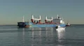 Bulk Cargo Ship Enters Port HD Footage