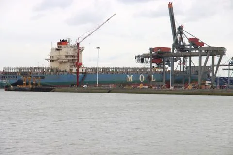 Bulk cargo ship MOL experience moored in the Waalhavel harbor Stock Photos