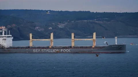 Bulk Carrier ABYSSINIAN built in 2014, currently sailing under flag of Marshall 스톡 동영상 121845093