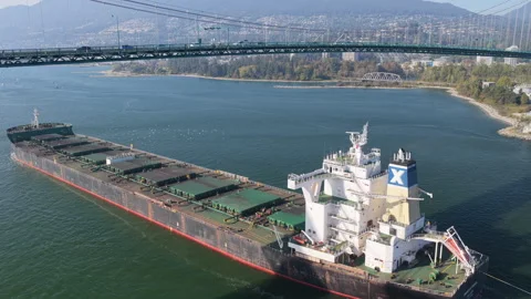 Bulk Carrier and Escort Tug Moving Below Lions Gate Bridge Aerial Stock Footage 346627729