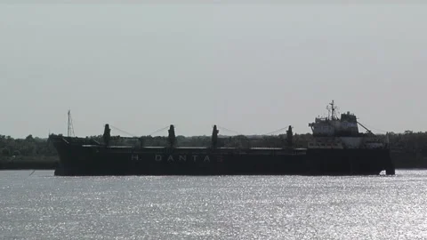Bulk Carrier Cargo Ship Anchored on Parana River, Inland Waterway Transport Stock Footage 145470105