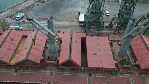 Bulk carrier cargo ship closes hold full of grain before shipping, aerial view Stock Footage 252140064