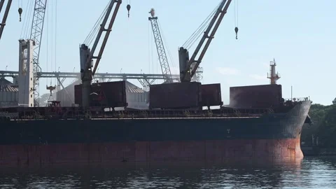 Bulk carrier cargo ship loading at port terminal 库存影片 343495082
