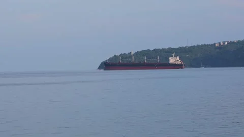Bulk carrier cargo ship navigating calm sea water Stock Footage 339850712