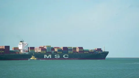 Bulk Carrier  Stock Footage 131649442