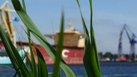 Bulk carrier grass Stock Footage 64207307