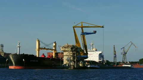 Bulk carrier Nautical Runa  Stock Footage 66515009