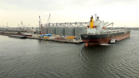 Bulk Carrier in the port Video stock 47897077