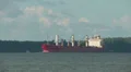 Bulk Carrier Ship Federal Asahi 1 HD Footage