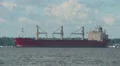 Bulk Carrier Ship Federal Asahi 3 HD Footage