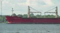 Bulk Carrier Ship Federal Asahi 4 HD Footage