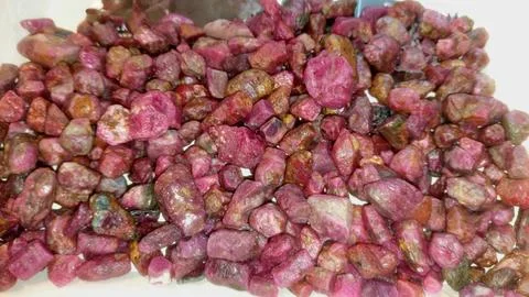 Bulk Collection Of Raw Red Ruby Crystals For Jewelry Making Stock Photos