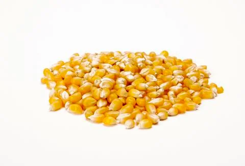 Bulk of corn grains Stock Photos