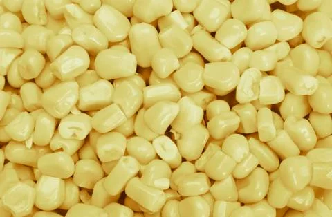 Bulk of corn grains Stock-Fotos