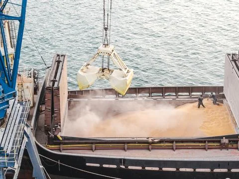 Bulk Corn Loading at Port for Export. Aerial view grain trading Stock Photos