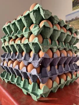 Bulk Free-Range Chicken Eggs in Cardboard Trays – Farm Fresh Egg Stack Stock Photos