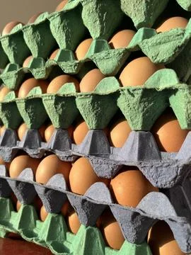 Bulk Free-Range Chicken Eggs in Cardboard Trays – Farm Fresh Egg Stack Stock Photos