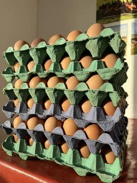 Bulk Free-Range Chicken Eggs in Cardboard Trays – Farm Fresh Egg Stack Stock Photos