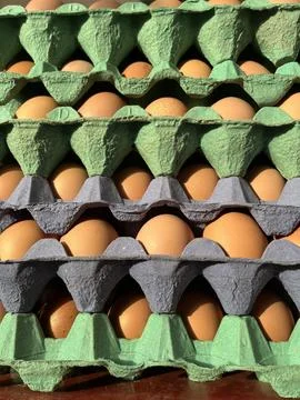 Bulk Free-Range Chicken Eggs in Cardboard Trays – Farm Fresh Egg Stack Stock Photos
