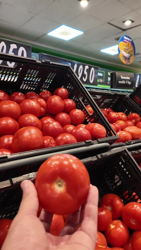 Bulk Red Tomatoes in Grocery Crate Stock Footage 311557764