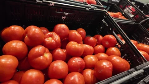 Bulk Red Tomatoes in Grocery Crate Stock Footage 311557916