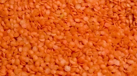 Bulk supply of split red lentil legumes being spooned out with wooden spoon,  Stock Footage 65227367